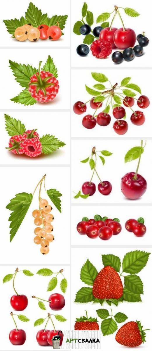 Нарисованные ягоды картинки | Painted berries pictures
